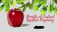 Benefits of Custard Apples in Pregnancy