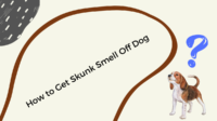 How to Get Skunk Smell Off Dog