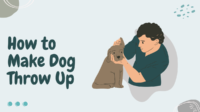 How to Make Dog Throw Up