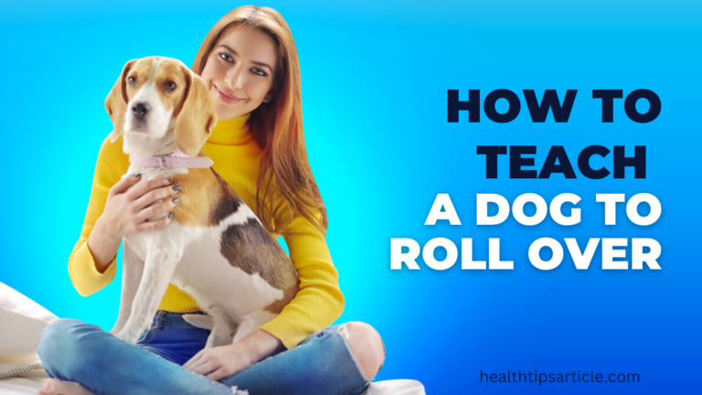 How to Teach a Dog to Roll Over