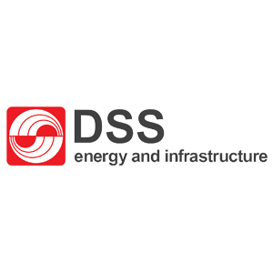 DSS